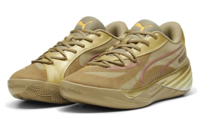 All-Pro Nitro CNY “Gold”