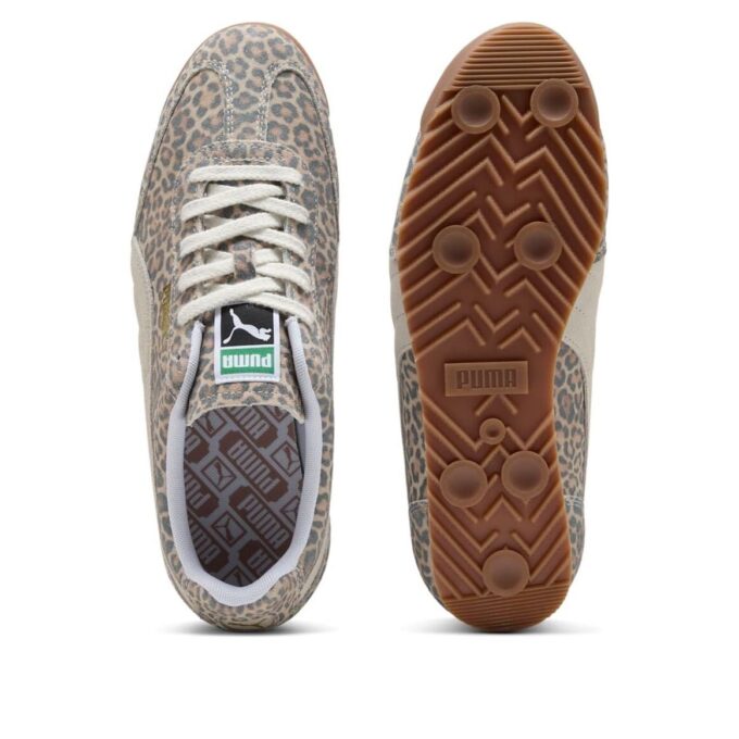 Arizona “Leopard”