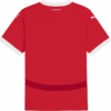 Austria 24 Replica Home Soccer Jersey “Red”