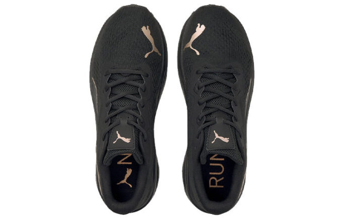 Aviator “Black Rose Gold”