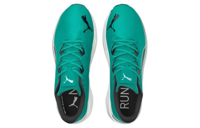 Aviator WTR Low Tops Green