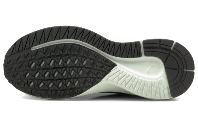 Aviator WTR Low Tops Green