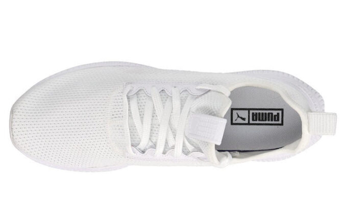 Avid Fight Or Flight