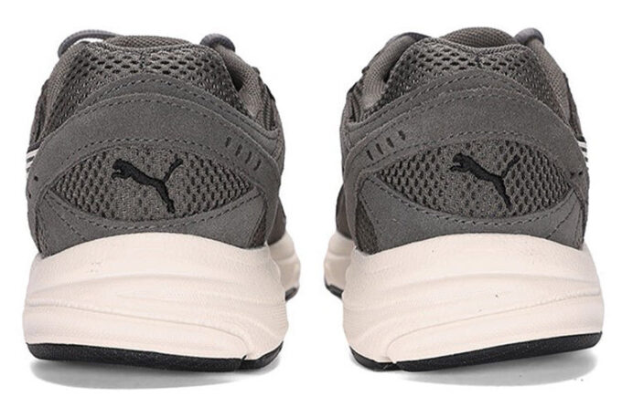 Axis SD “Quiet Shade”