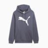 Big Cat Men Logo Hoodie