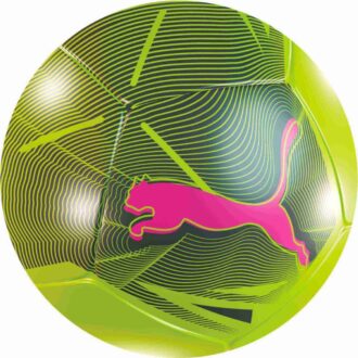 Big Cat Mini Soccer Ball