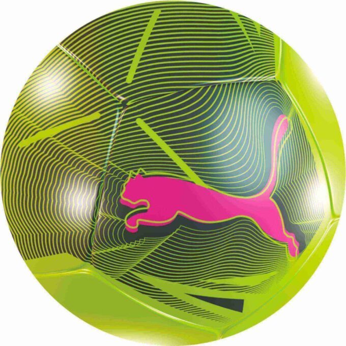 Big Cat Mini Soccer Ball Big Cat Mini Soccer Ball