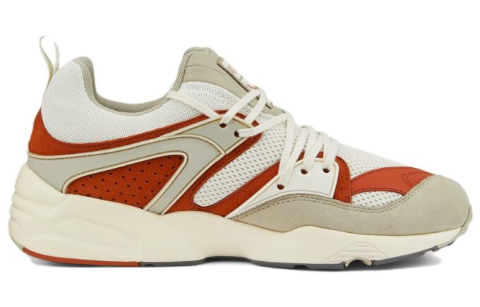 Blaze Of Glory “Vaporous Grey Warm Chestnut”