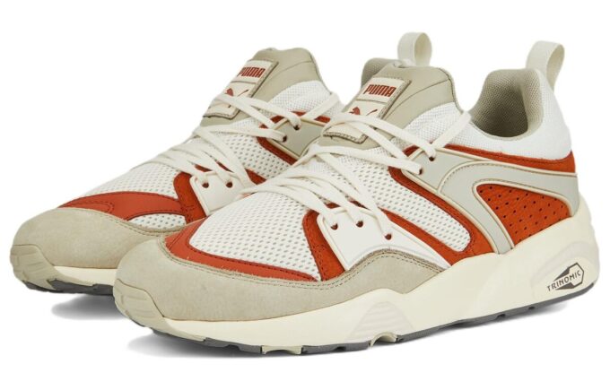 Blaze Of Glory “Vaporous Grey Warm Chestnut”