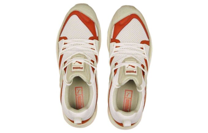 Blaze Of Glory “Vaporous Grey Warm Chestnut”