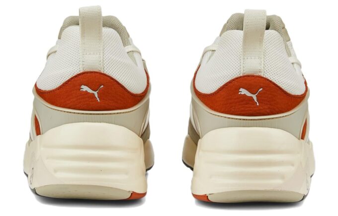 Blaze Of Glory “Vaporous Grey Warm Chestnut”