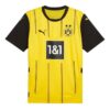 Borussia Dortmund 24/25 Home Jersey “Yellow”