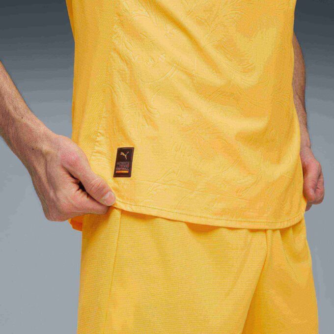 Borussia Dortmund 25/26 Authentic Cup Men Soccer Jersey Borussia Dortmund 25/26 Authentic Cup Men Soccer Jersey