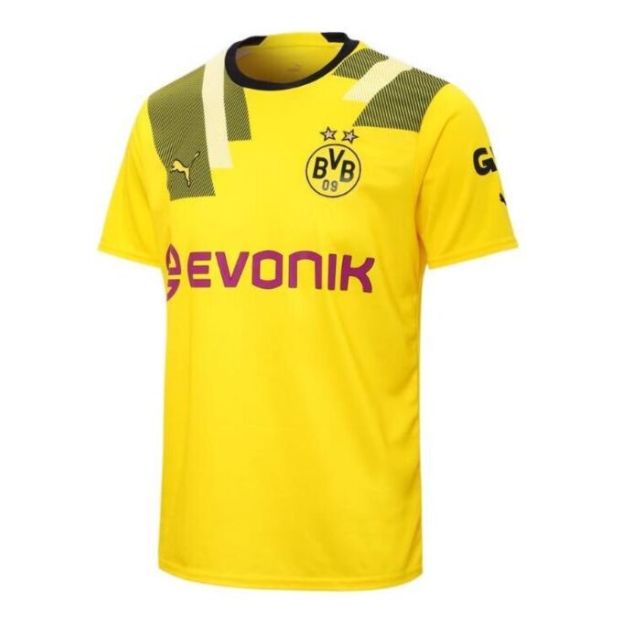 Borussia Dortmund Axel Witsel 28 Third Cup Jersey “Yellow”