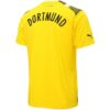 Borussia Dortmund Axel Witsel 28 Third Cup Jersey “Yellow”