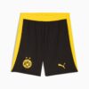 BVB Men Soccer Shorts