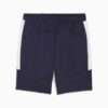 C.F. Monterrey Men Soccer Shorts