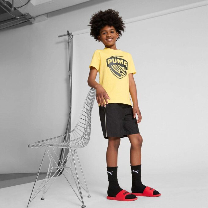 Cool Cat 2.0 Big Kids’ Slides