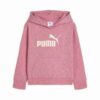 Core No. 1 Logo Little Kids’ Fleece Hoodie