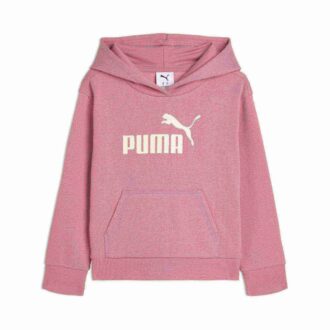 Core No. 1 Logo Little Kids’ Fleece Hoodie