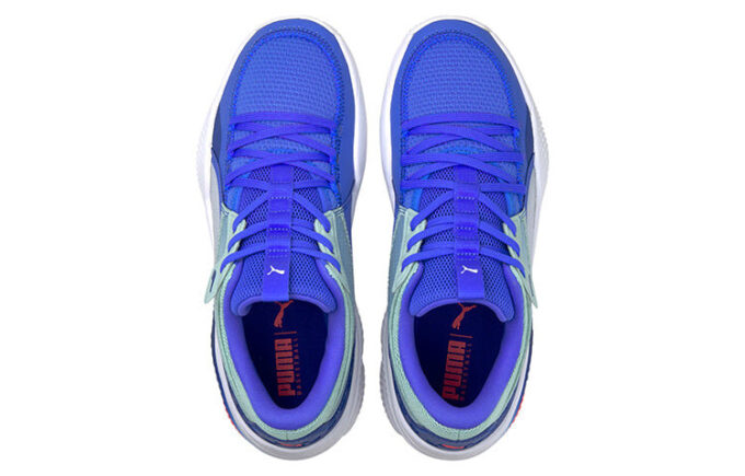 Court Rider “Bluemazing”