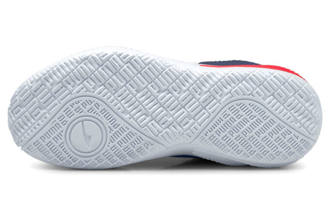 Court Rider “Bluemazing”