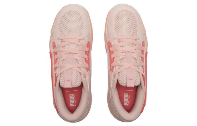 Court Rider Chaos “Slash – Rose Dust”