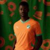 Côte d’Ivoire 2025 Home Replica Jersey Men Soccer Côte d’Ivoire 2025 Home Replica Jersey Men Soccer