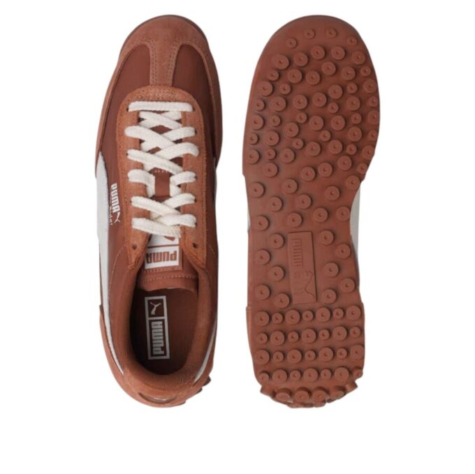 Easy Rider “Brown Mushroom Warm White”