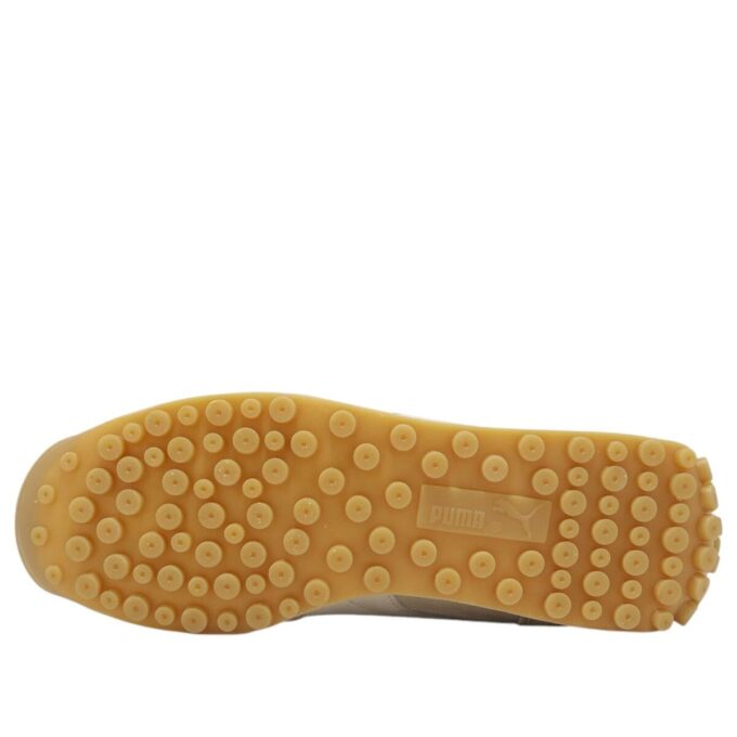 Easy Rider CN “Warm White”