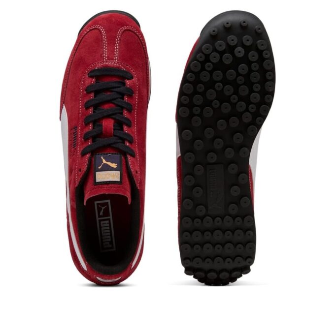 Easy Rider “Road to Unity”