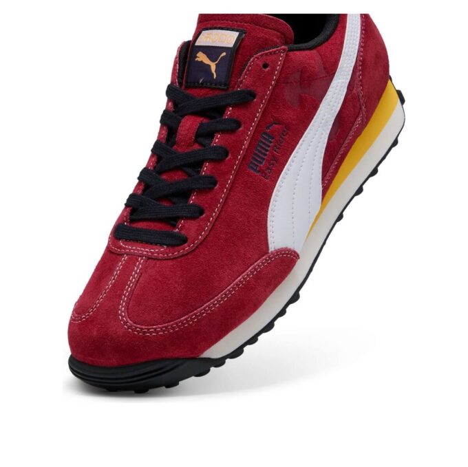 Easy Rider “Road to Unity”