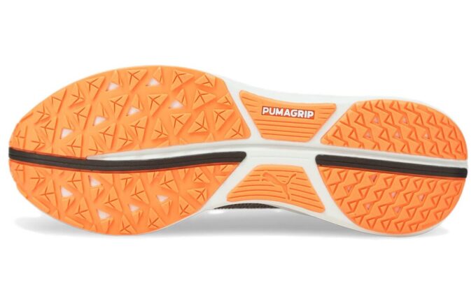 Electrify Nitro “Harbor Mist Neon Citrus”