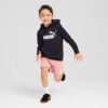 Essentials Little Kids’ Fleece Hoodie Essentials Little Kids’ Fleece Hoodie
