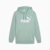 Essentials Men Hoodie Essentials Men Hoodie