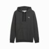 Essentials Men Hoodie Essentials Men Hoodie