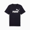 Essentials Men Tee Essentials Men Tee
