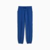 Essentials Satin Women Joggers Essentials Satin Women Joggers