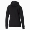 Essentials Small Logo Women Hoodie