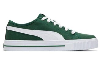 Ever Fs Cv “Green”