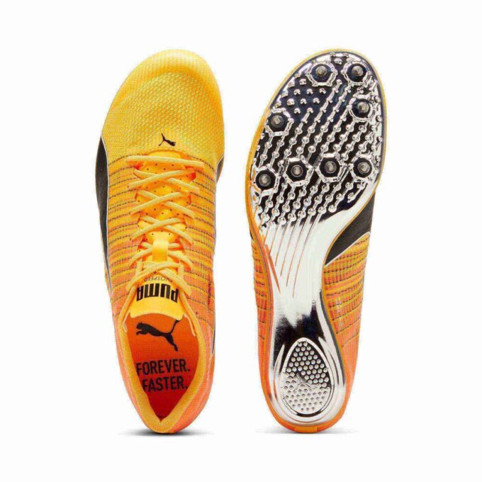 evoSPEED BRUSH 6 Track & Field Sprinting Spikes evoSPEED BRUSH 6 Track & Field Sprinting Spikes