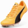 evoSPEED Brush 6 Track & Field Sprinting Spikes evoSPEED Brush 6 Track & Field Sprinting Spikes