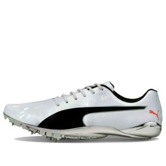 evoSPEED Electric 10 “Grey”