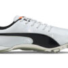 evoSPEED Electric 10 “Grey”