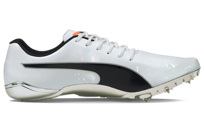 evoSPEED Electric 10 “Grey”