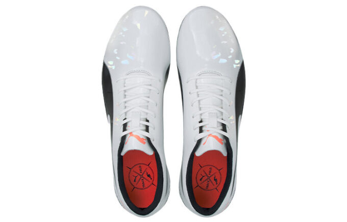 evoSPEED Electric 10 “Grey”