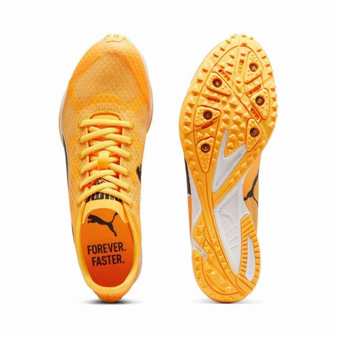 evoSPEED Haraka 8 Track & Field Distance Spikes evoSPEED Haraka 8 Track & Field Distance Spikes