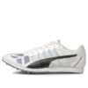 Evospeed Sport Shoes Gray/Black