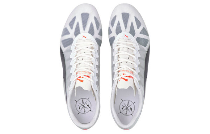 Evospeed Sport Shoes Gray/Black