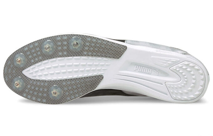 Evospeed Sport Shoes Gray/Black